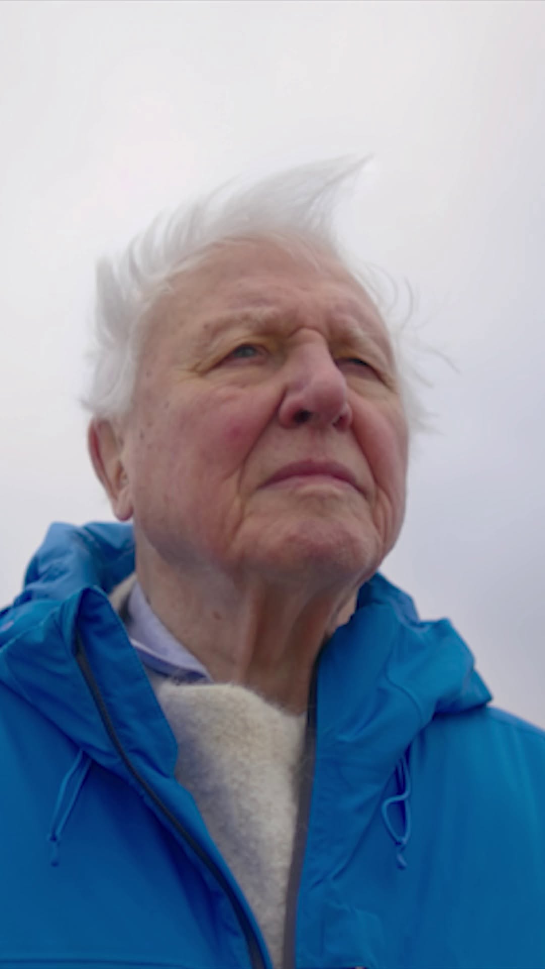 Attenborough birthday